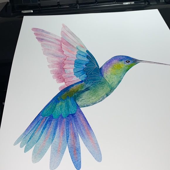 Watercolor Hummingbird Wall Art Illustration Print Poster Unframed - Picture 10 of 17